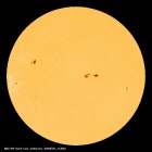 SDO/HMI Continuum Image of the Sun