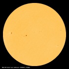 SDO/HMI Continuum Image of the Sun